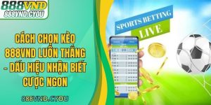 Cách Chọn Kèo 888VND Luôn Thắng - Dấu Hiệu Nhận Biết Cược Ngon