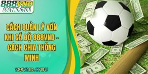 Cách Quản Lý Vốn Khi Cá Độ 888VND - Cách Chia Thông Minh