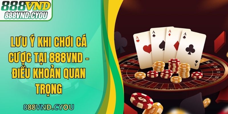 Lưu Ý Khi Chơi Cá Cược Tại 888VND -  Điều Khoản Quan Trọng